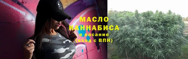 соль ск Ельня