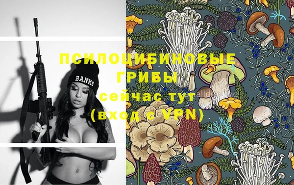 Альфа ПВП Нея