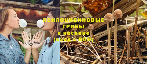 мдма Елизово