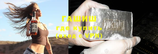 сатива Горняк