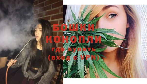 индика Вязьма