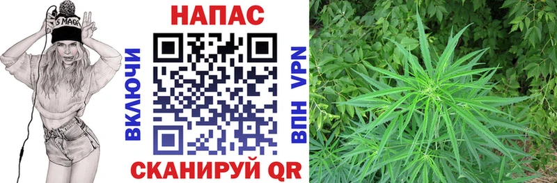 дарнет шоп  blacksprut как зайти  Марихуана OG Kush  Шилка 