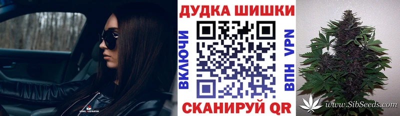 Марихуана семена Шилка